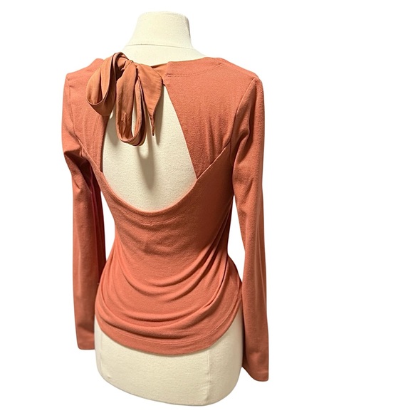 Free People Terracotta Taupe V Neck Long Sleeve Open Back Tie Top Size XS - Picture 3 of 9